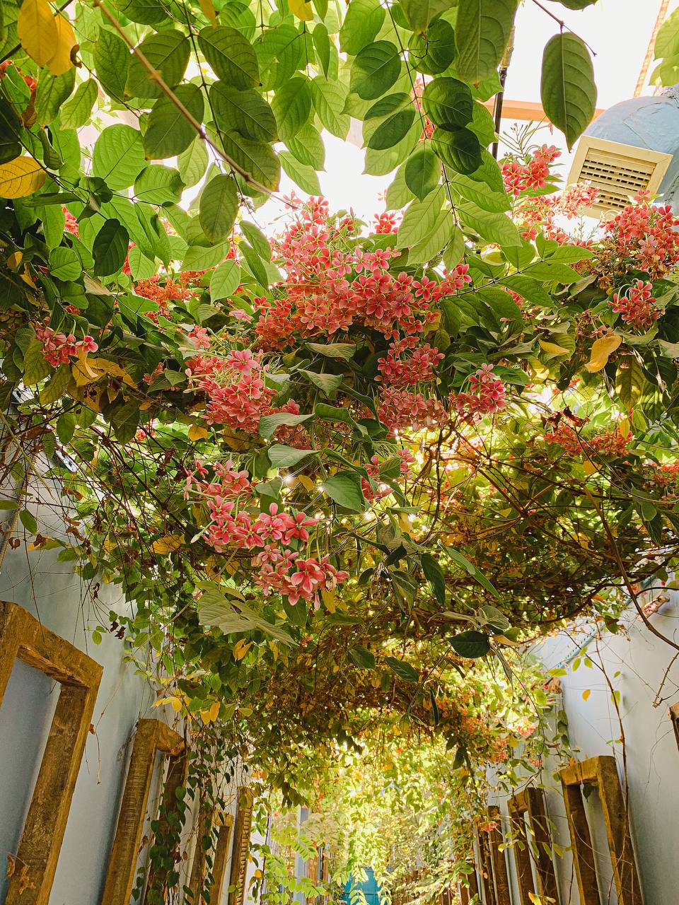 Utilisez Cosefan comme emplacement pour les photos, les vidéos et les podcasts