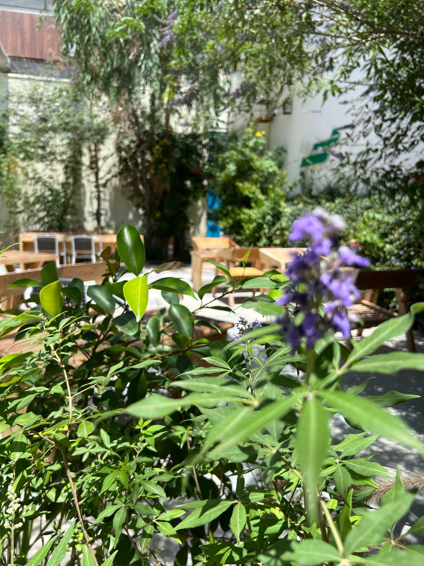 Utilisez Cosefan comme emplacement pour les photos, les vidéos et les podcasts