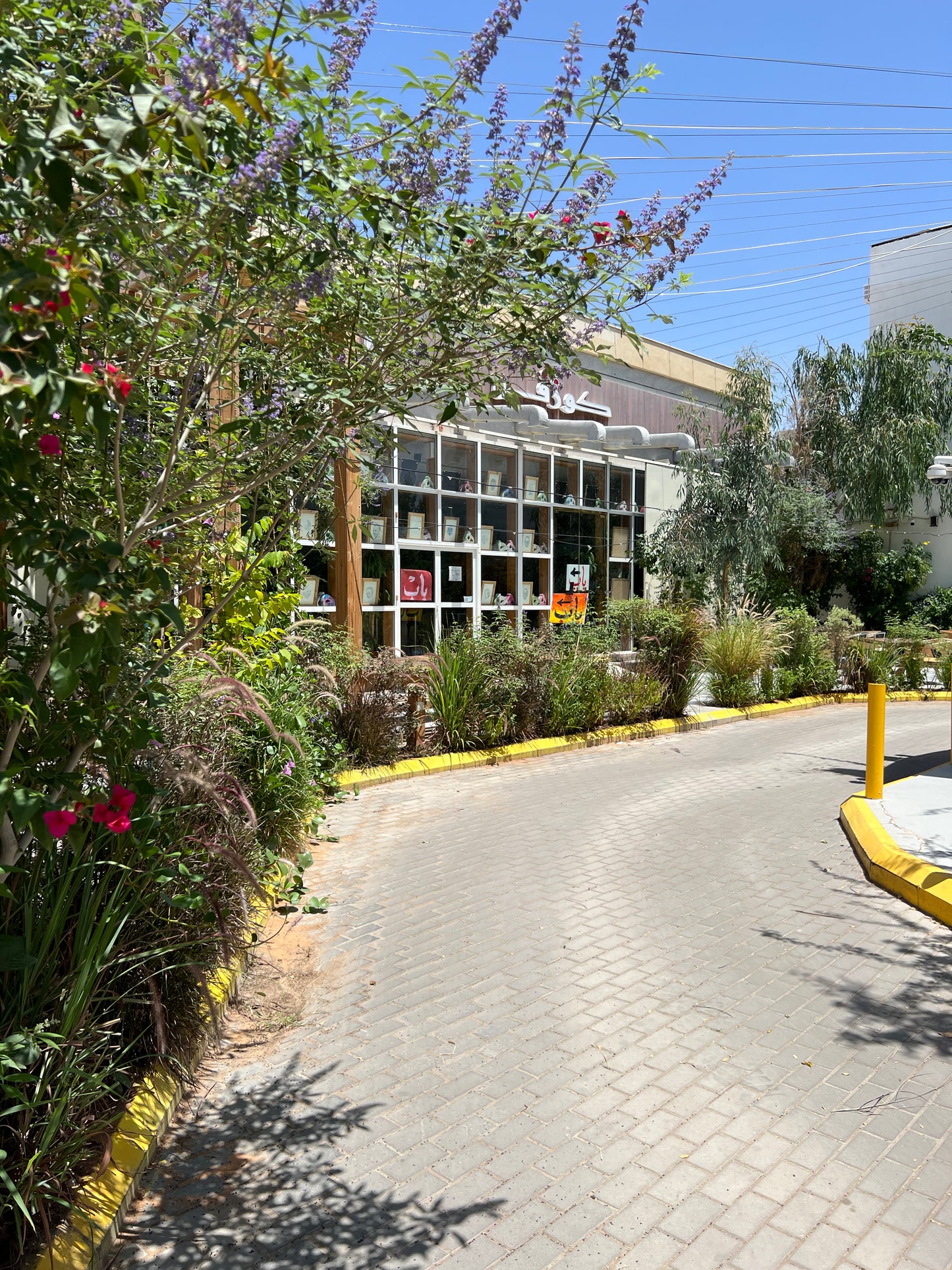 Utilisez Cosefan comme emplacement pour les photos, les vidéos et les podcasts