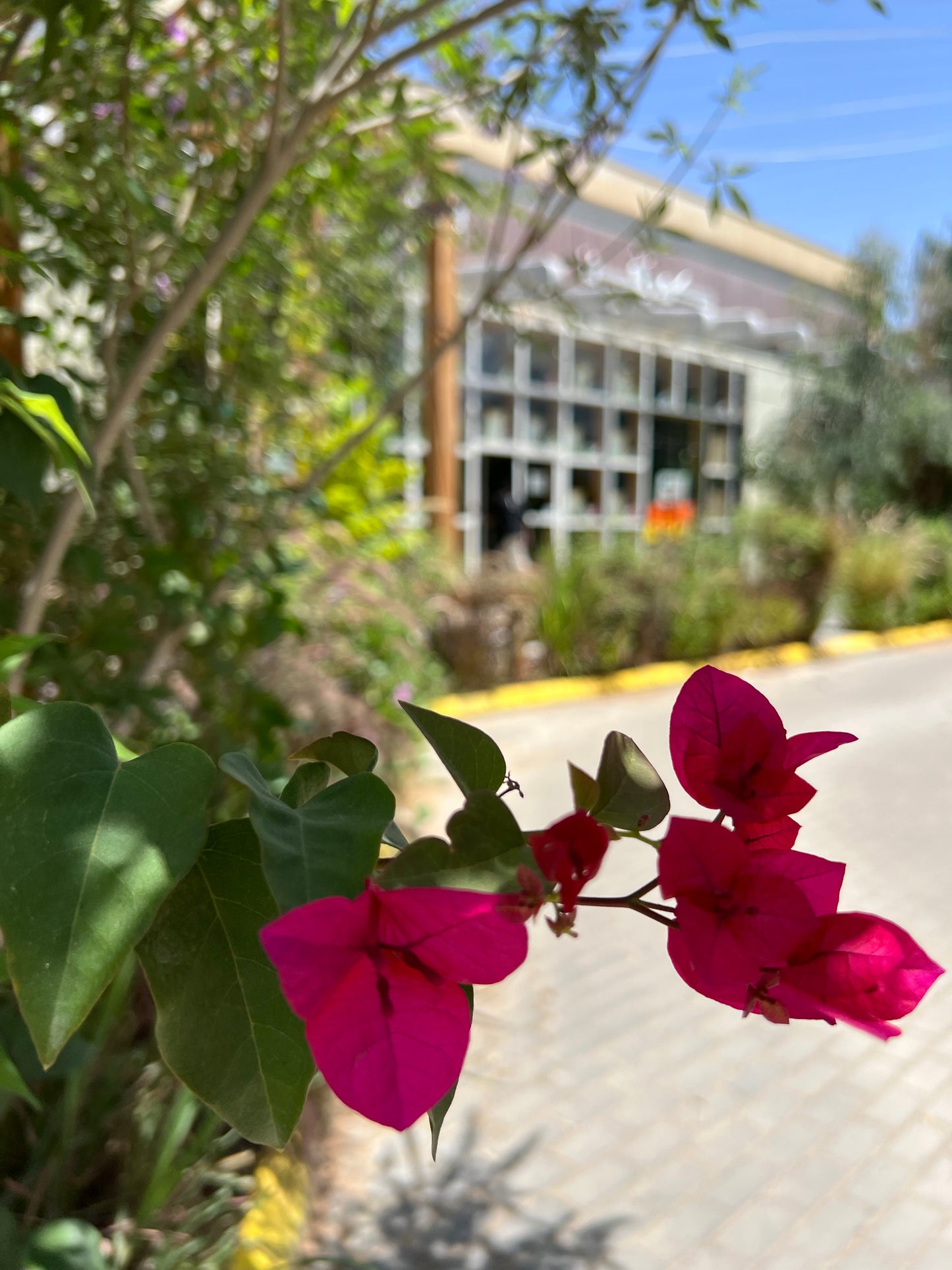 Utilisez Cosefan comme emplacement pour les photos, les vidéos et les podcasts